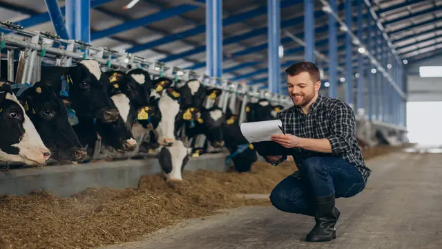 Livestock Management Level 3 Advanced Diploma