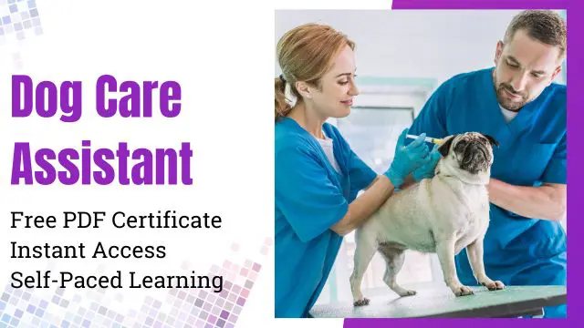 Dog Care Assistant Training