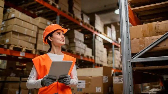 Warehouse Management: Inventory, Stock and Supply Chains