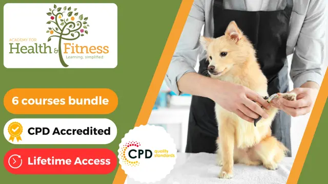 Dog Grooming, Dog Handler & Guide Dog Trainer- CPD Certified