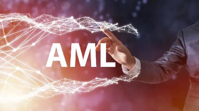 AML : Anti Money Laundering (Anti Money Laundering)