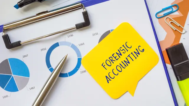 Forensic Accounting : The Investigative Process