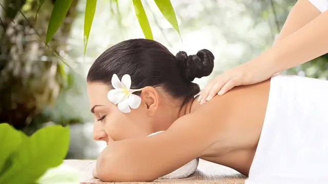 Massage Therapy: Lymphatic Drainage Massage Therapy