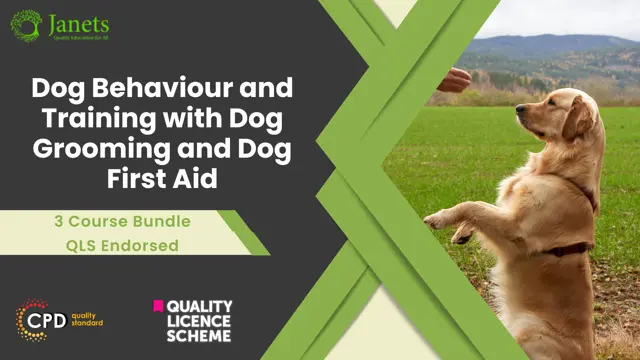 Dog Behaviour and Training with Dog Grooming and Dog First Aid - QLS Endorsed