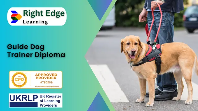 Guide Dog Trainer Diploma