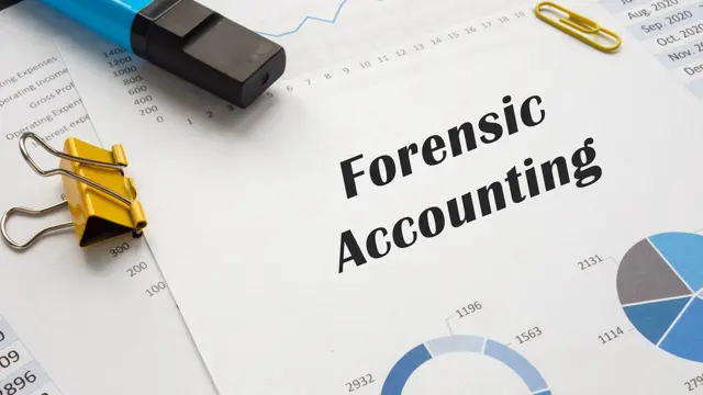 Forensic Accounting: The Investigative Process