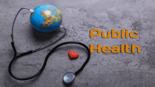 Public Health Training