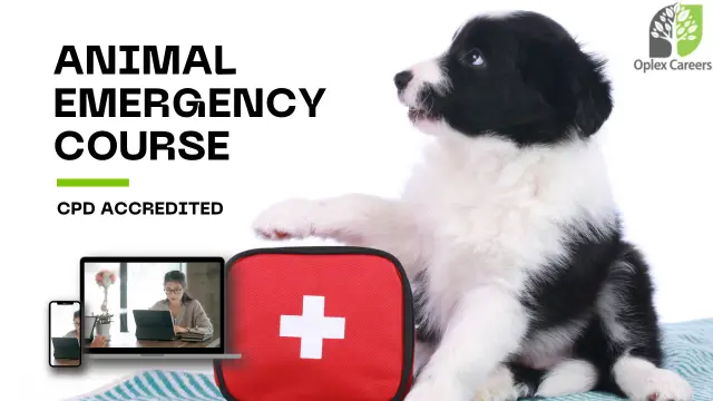 Animal Emergency Management Course - CPD Accredited Online 