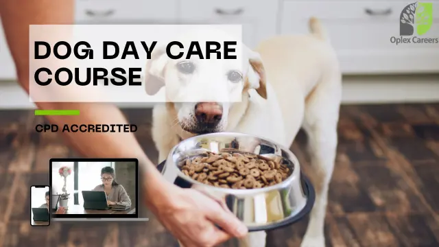 Dog Day Care Course - Online and Accredited 