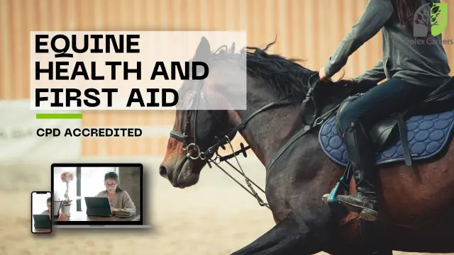 Equine Health and First Aid Training - Course and Certificate