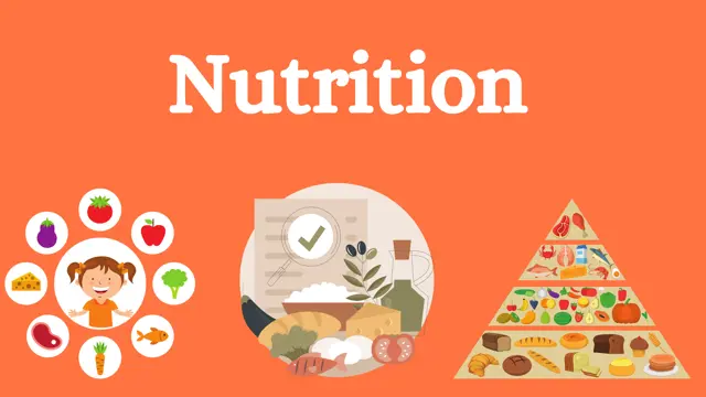 Nutrition Diploma Level 5 - CPD Certified