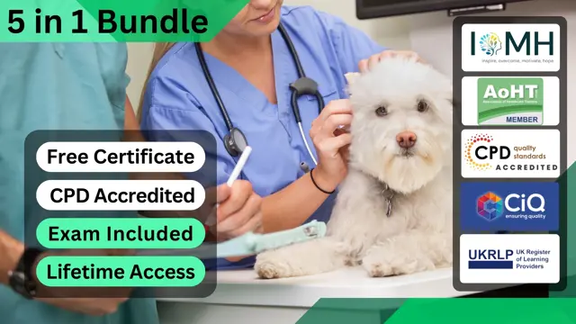 Level 3 Certificate in Veterinary Assistant - CPD Certified