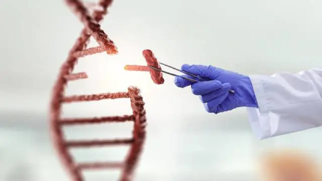 DNA Testing for Genealogy