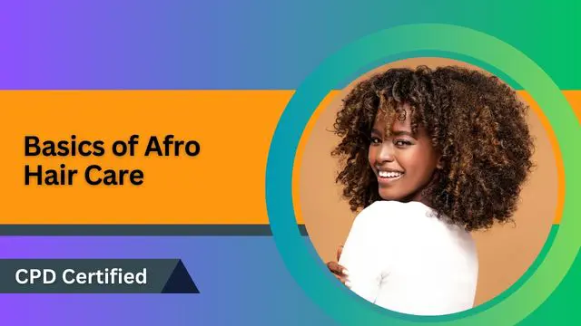 Basics of Afro Hair Care