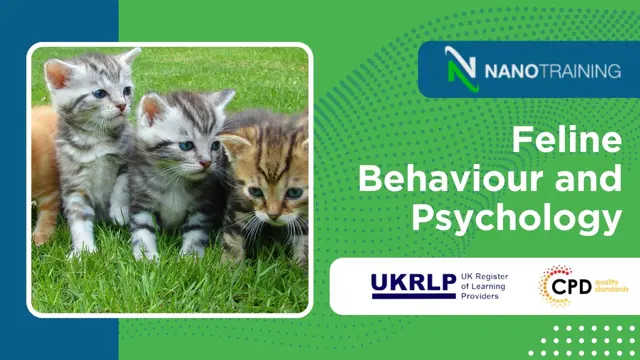 Feline Behaviour and Psychology