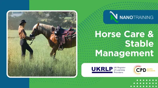 Horse Care & Stable Management