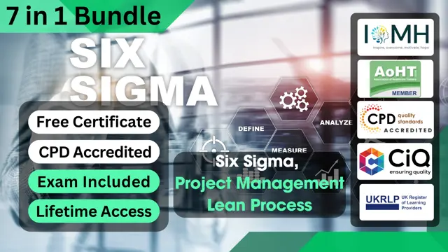 Six Sigma, Project Management Lean Process