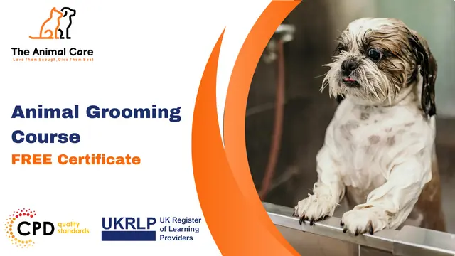 Animal Grooming Course