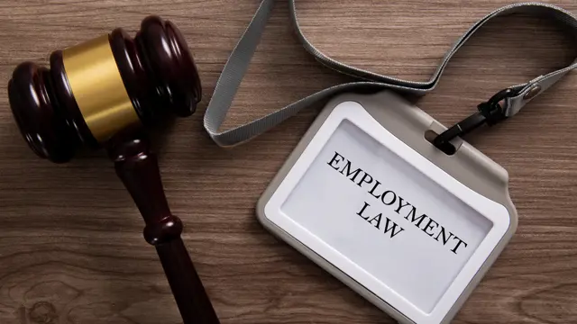 Law: Employment Law (UK)