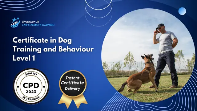 Dog Training and Behaviour Level 1 Certificate