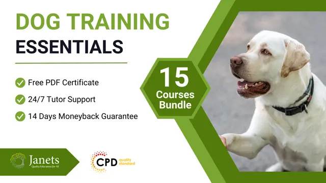 Dog Training Essentials