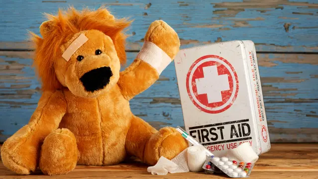 Paediatric First Aid with Level 1, 2 & 3
