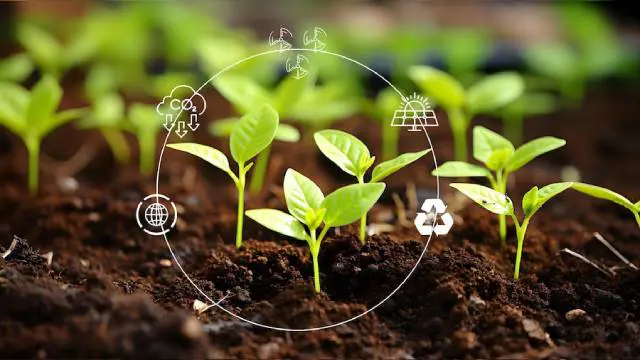 Sustainable Agriculture and Agroecology Level 3 Advanced Diploma