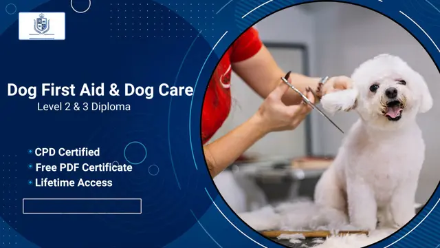 Dog First Aid & Dog Care Level 2 & 3 -CPD Certified Diploma