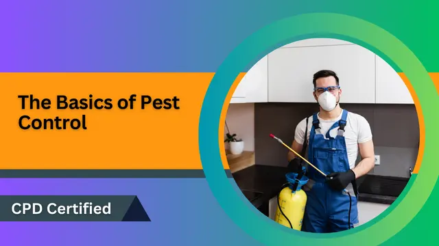 The Basics of Pest Control