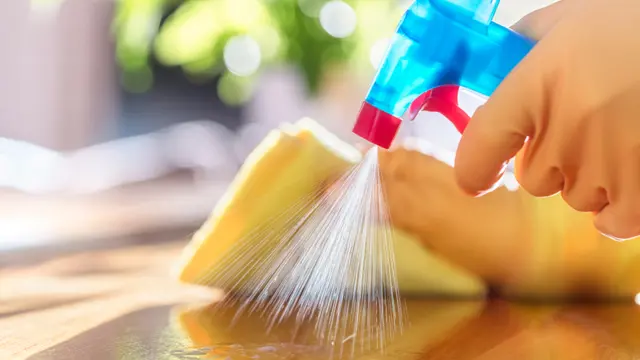 Diploma in British Cleaning Training