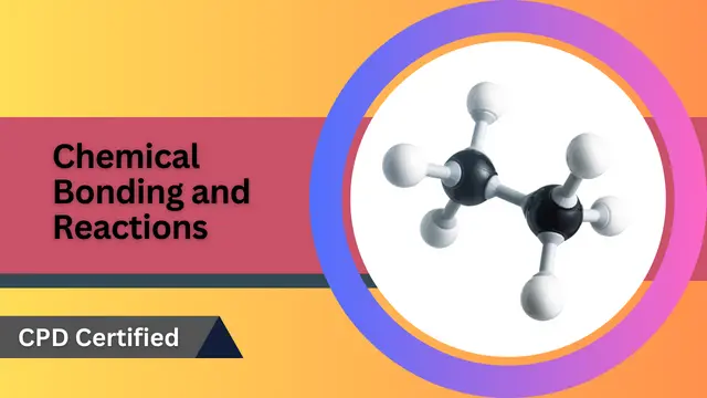 Basic Chemistry 101: Chemical Bonding and Reactions