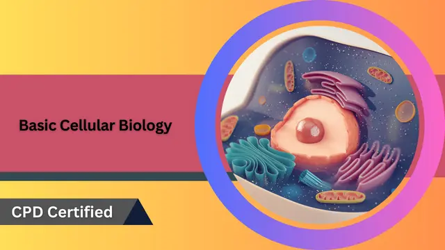Basic Cellular Biology