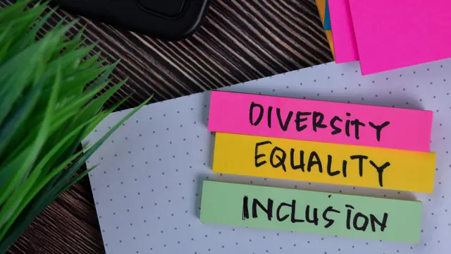 Level 3 Equality & Diversity
