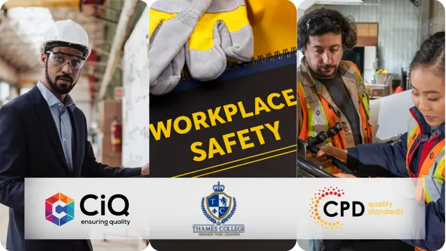 Workplace Safety Officer