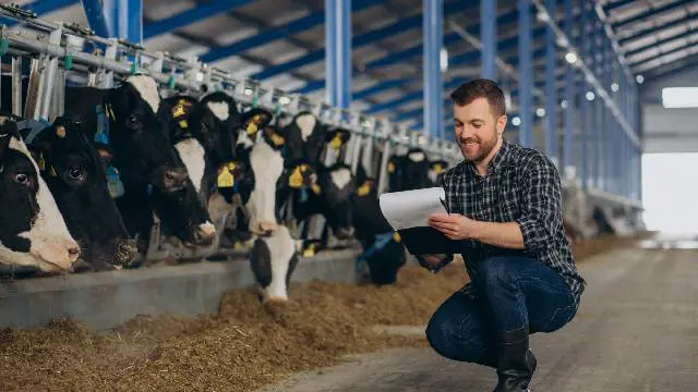 Livestock Management Level 3 Advanced Diploma