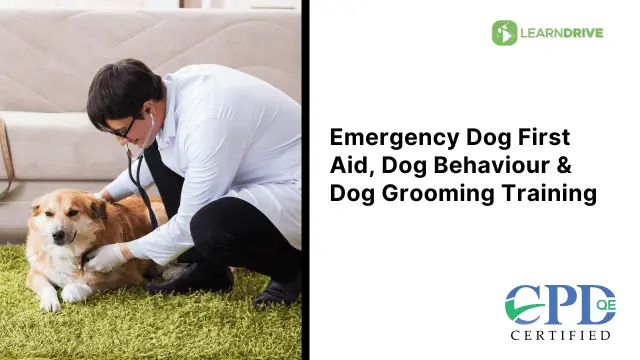Emergency Dog First Aid, Dog Behaviour & Dog Grooming Training