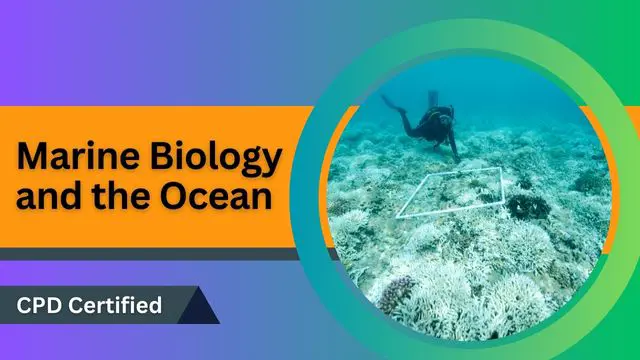Marine Biology and the Ocean