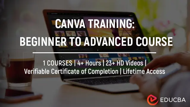 Online Canva Training: Beginner to Advanced