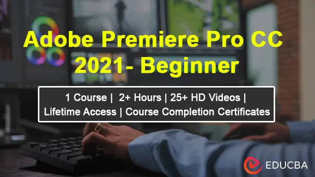 Online Adobe Premiere Pro CC 2021 – Beginner