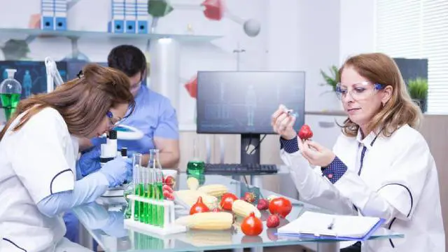 Food Science and Technology Level 3 Advanced Diploma