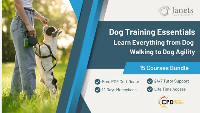 Dog Training Essentials: Learn Everything from Dog Walking to Dog Agility
