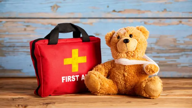 Paediatric First Aid: CPR, AED & Basic Life Support in Emergencies - CPD Accredited