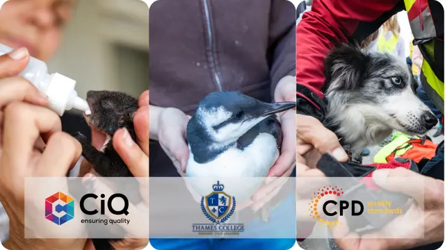 Wildlife Rescue and Rehabilitation - CPD Accredited