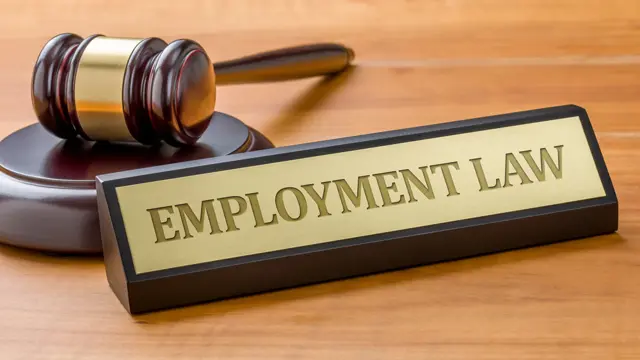 Law : UK Employment Law