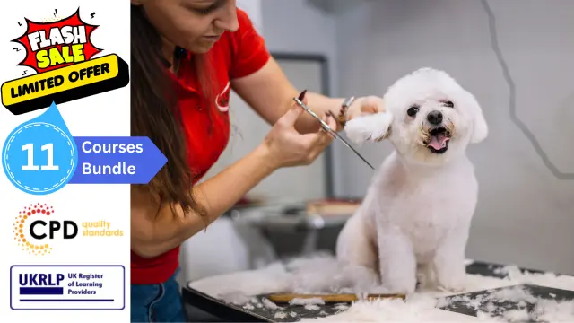 Advanced Dog Grooming Diploma