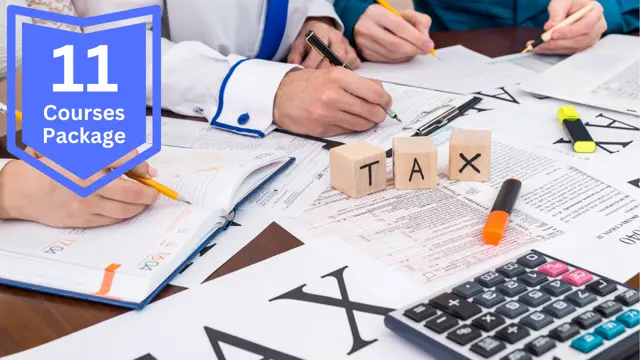 Tax Essentials: Learn Taxation for Individuals and Businesses