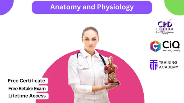 Human Biology: Anatomy and Physiology Level 3 Diploma 