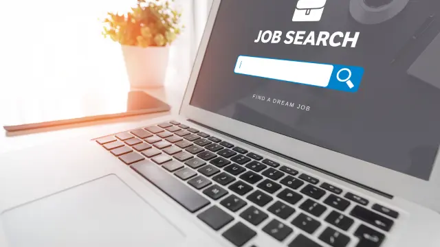 Job Search & Office Skill Training Bundle