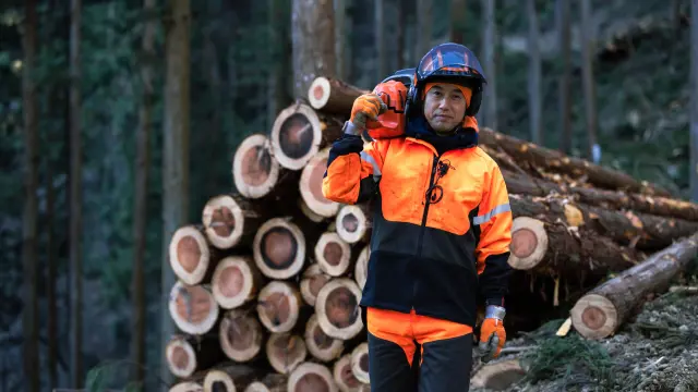 Forestry Advanced Training Level 3 - CPD Certified