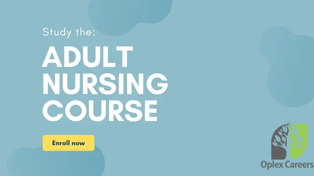Adult Nursing Training Level 3 CPD Accredited  Course 
